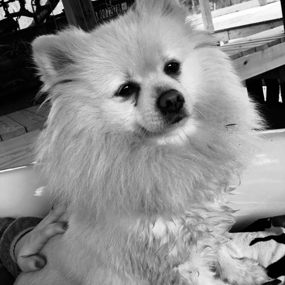 Meet your Posher, Teresa